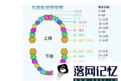 儿童换牙顺序图优质