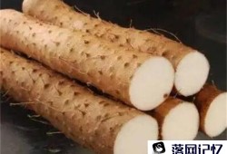 胃疼吃蔬菜好消化吗