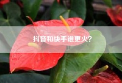 抖音和快手谁更火？