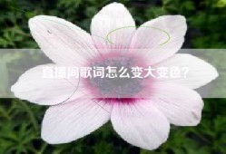 直播间歌词怎么变大变色？