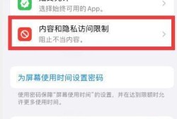 iphone访问限制在哪优质