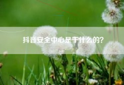 抖音安全中心是干什么的？