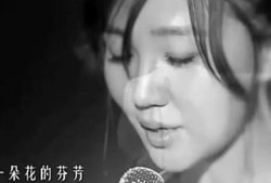 看群里妖妖说的很好的歌曲：《一人一花》