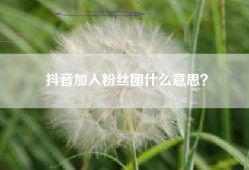 抖音加入粉丝团什么意思？