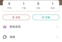 荔枝app下载的声音怎么导出优质