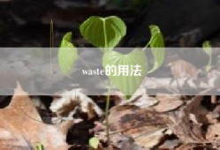 waste的用法