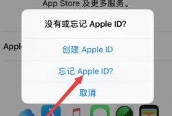 Apple ID密码不正确怎么办优质