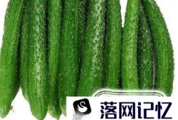 与芹菜相克的食物优质