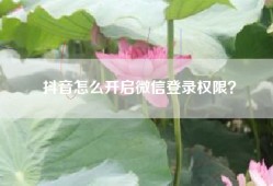 抖音怎么开启微信登录权限？