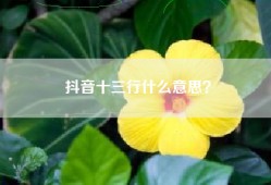 抖音十三行什么意思？