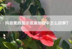 抖音美颜显示资源加载中怎么回事？