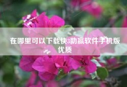 在哪里可以下载快3助赢软件手机版
优质