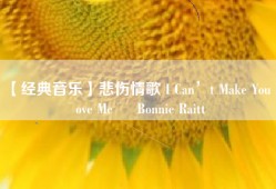 【经典音乐】悲伤情歌 I Can’t Make You Love Me – Bonnie Raitt