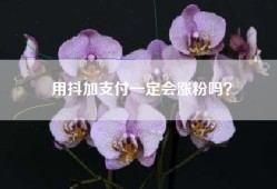 用抖加支付一定会涨粉吗？