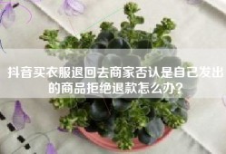 抖音买衣服退回去商家否认是自己发出的商品拒绝退款怎么办？