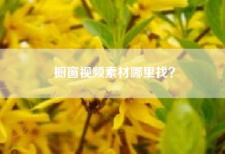 橱窗视频素材哪里找？