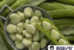 吃这五种豆比吃肉还好