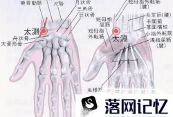 人体有四个止咳特效穴优质