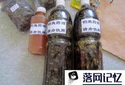 如何制作丁香红糖酒优质