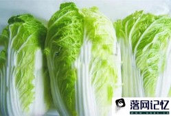 大白菜的食疗功效及食用禁忌