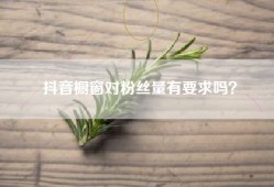 抖音橱窗对粉丝量有要求吗？