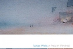 简约之美Valder Fields – Tamas Wells