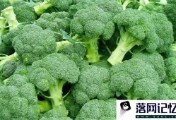 菜花的5个小知识