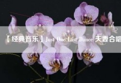 【经典音乐】Just One Last Dance 夫妻合唱