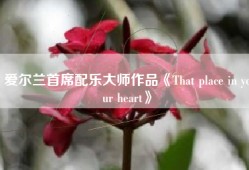 爱尔兰首席配乐大师作品《That place in your heart》