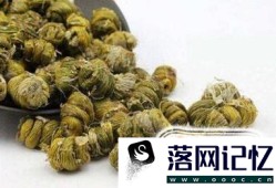 如何种植铁皮石斛优质