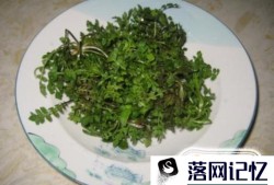 经常用眼吃什么食物比较好？优质