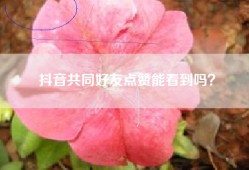 抖音共同好友点赞能看到吗？