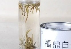 白毫银针可以用保温杯泡吗