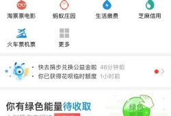 怎么刷脸支付呢优质