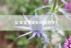 记录宝宝成长抖音名字？