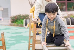 幼儿园全面发展教育的基础是什么