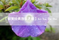 【欧美经典音乐之旅】Are You The One