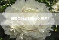 抖音里的加剩是什么意思？