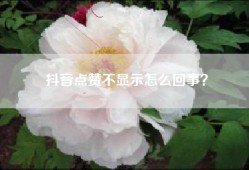 抖音点赞不显示怎么回事？