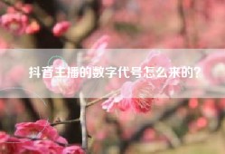 抖音主播的数字代号怎么来的？