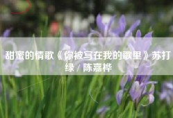 甜蜜的情歌《你被写在我的歌里》苏打绿 / 陈嘉桦