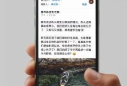 iPhone11pro max怎么打开多任务管理？优质