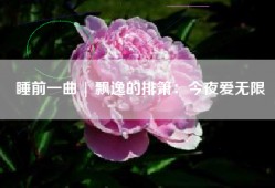 睡前一曲 | 飘逸的排箫：今夜爱无限