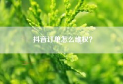 抖音订单怎么维权？