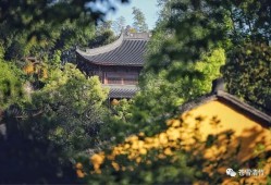 苍雪清竹：文友会  禅门山色两虚空，妙语都随碧落风