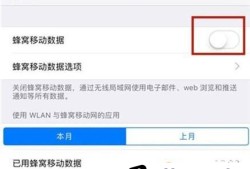 苹果iphone手机偷跑流量用的太快怎么办？优质