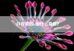 抖音里的ta是什么意思？