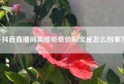 抖音直播间卖那些低价彩宝是怎么回事？