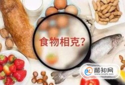 食物相克真的存在吗优质