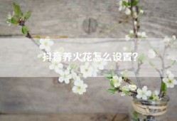 抖音养火花怎么设置？